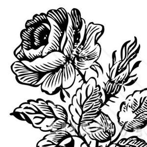 Meet your Posher, Mona